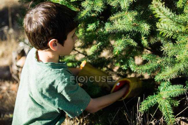 Вид сбоку на мальчика в перчатках, отпиливающего зеленую ель в лесу в солнечный день — стоковое фото