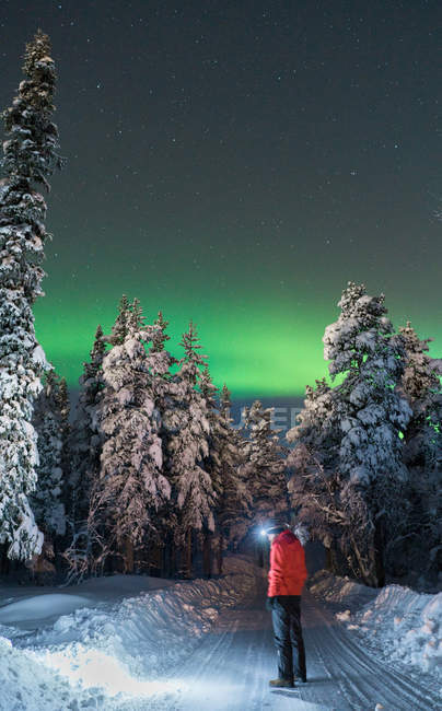 Rear view of man standing on winter road on background of Polar lights — Stock Photo