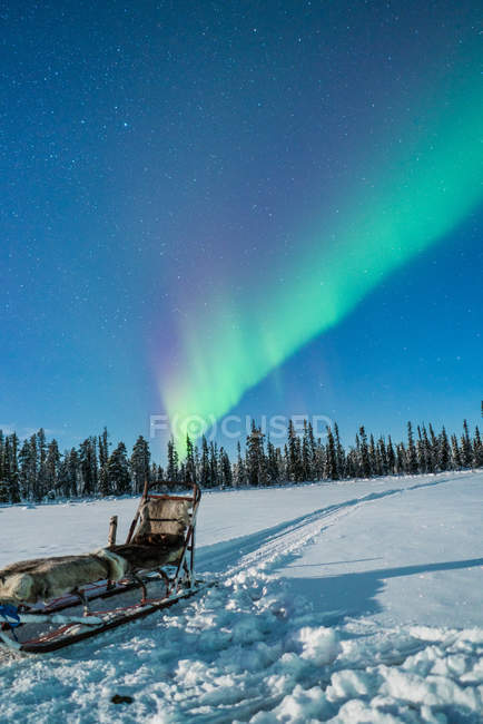 Blick auf Winterwald und Schlitten in sternenklarer Nacht mit Polarlicht. — Stockfoto