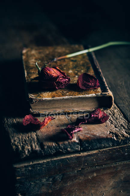 Закрыть вид на высохшую розу на старой книге за сельским деревянным столом — стоковое фото