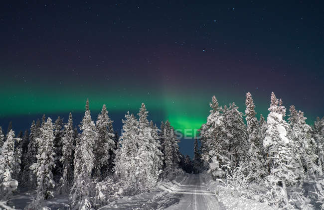 Пейзаж холодного зимнего леса и снежная дорога ночью с полярным светом . — стоковое фото