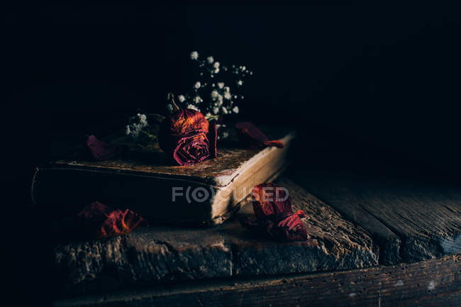 Nature morte de fleurs séchées sur vieux livre à la table rurale en bois — Photo de stock
