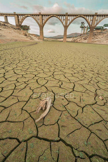 Branche sèche sur terrain fissuré de lit de rivière aride avec pont — Photo de stock