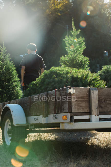 Back view of young boy standing at car trailer with fir trees in sunny forest. — Stock Photo