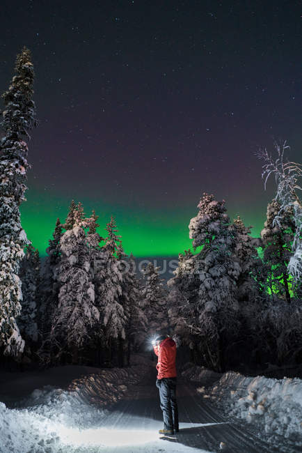 Visão traseira do homem em pé na estrada de inverno da floresta no pano de fundo da luz do norte no céu — Fotografia de Stock