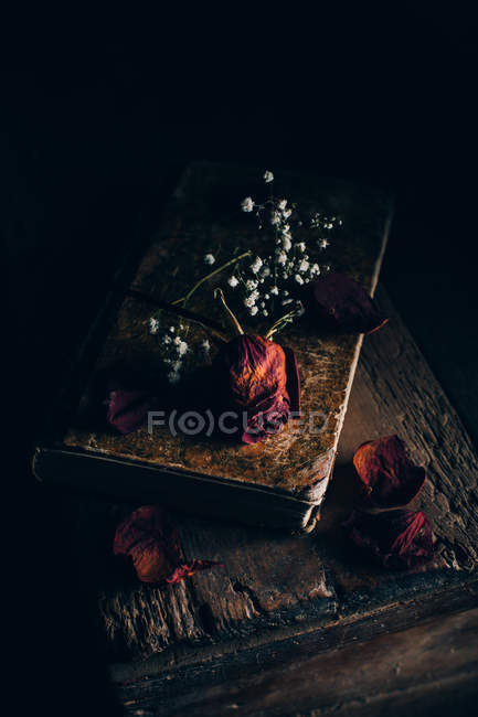 Натюрморт із сушеною трояндою та маленькими білими квітами на старій книзі за сільським дерев'яним столом — стокове фото