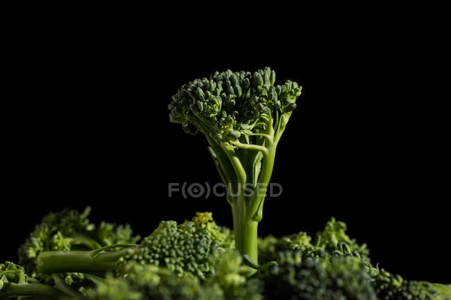 Close up view of fresh bimi broccoli vegetable on black background — Stock Photo