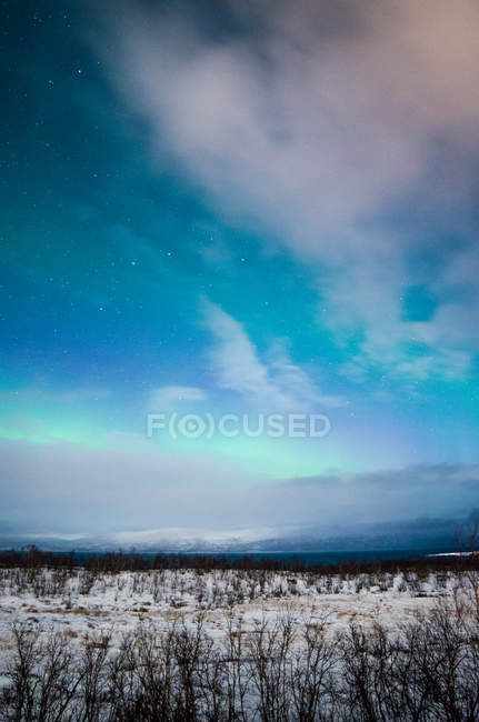 Paysage pittoresque de bois d'hiver et lumière polaire — Photo de stock