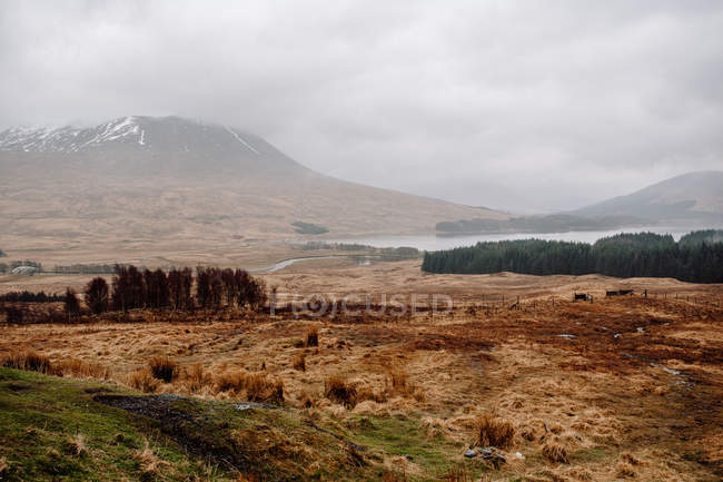 Foggy mountains and meadow at highlands — Stock Photo