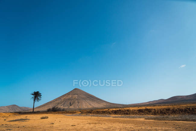 Paisaje de postre tropical con montaña seca y palmera - foto de stock