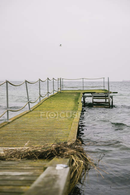 Вид на зелений дерев'яний пірс і спокійне море в похмуру погоду . — стокове фото