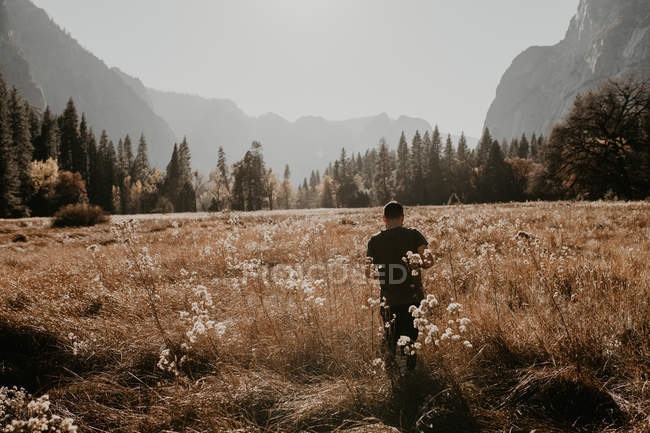 Rückansicht eines Mannes, der auf trockener Wiese im Hintergrund nebliger Berge wandelt — Stockfoto