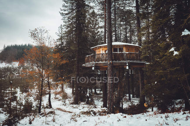 Exterior view to small house built on woods covered with snow. — Stock Photo