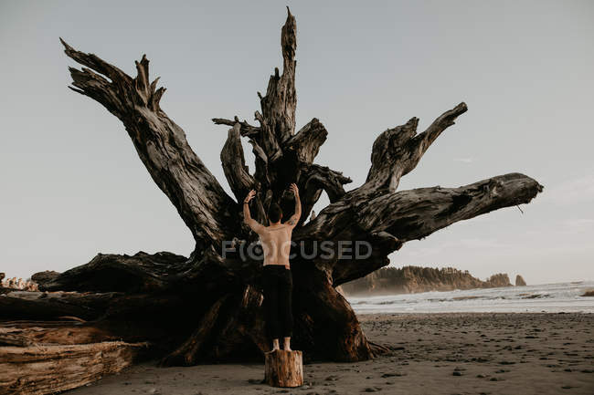 Back view of shirtless man leaning on big fallen tree trunk on beach. — Stock Photo