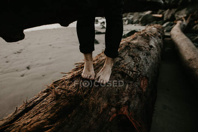 Low section of person walking on trunk on beach — Stock Photo