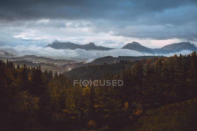 Vista aerea verso la foresta e le montagne autunnali nella nuvolosa giornata autunnale . — Foto stock