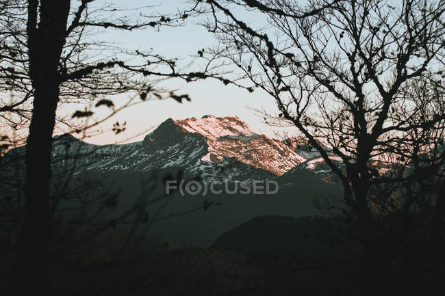 Vista através de árvores para belas montanhas iluminadas pelo sol — Fotografia de Stock