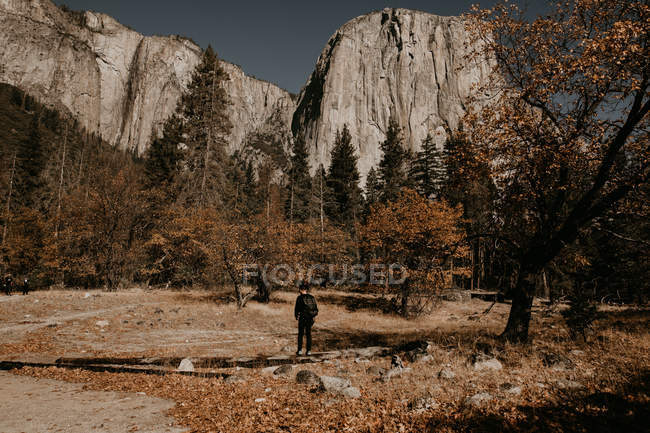 Vue arrière du touriste debout à la prairie forestière ensoleillée d'automne — Photo de stock