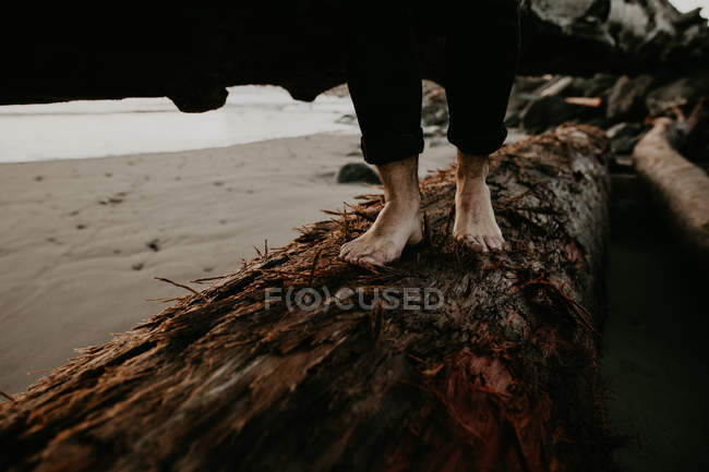 Низкий угол зрения босиком человек ходьба и балансировка на стволе на побережье . — стоковое фото