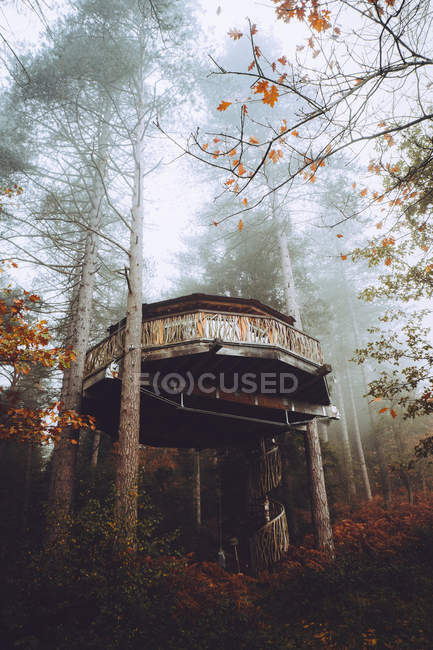 High angle exterior view of house on woods in foggy autumn forest — Stock Photo