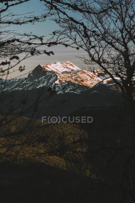 View through trees to mountains in sunlight — Stock Photo