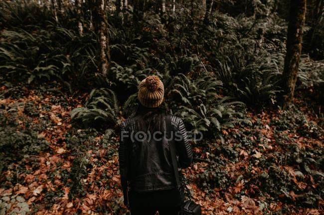 Вид ззаду жінки, дивлячись на осінні лісові дерева — стокове фото