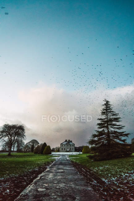 Asphalt road leading to mansion in green field — Stock Photo