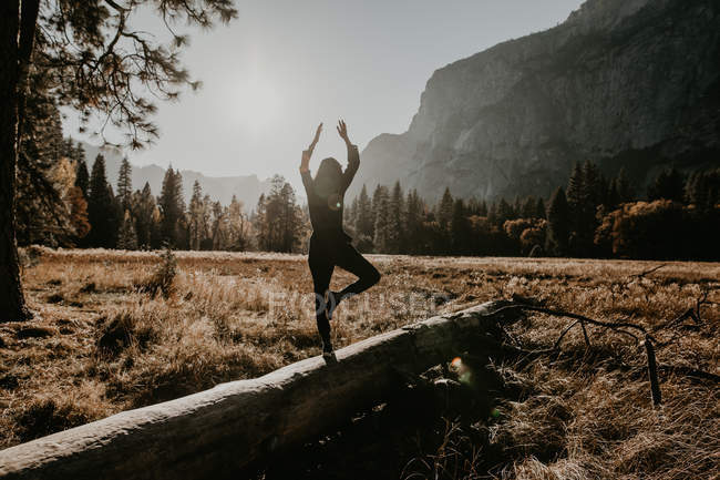 Vue arrière de fille tenant la main vers le haut tout en faisant du yoga sur le tronc dans la prairie . — Photo de stock