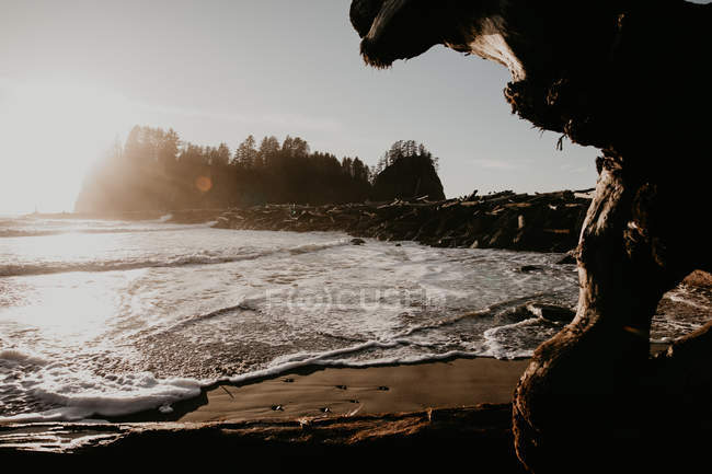 View to big trunk and small waves of ocean in sunny day. — Stock Photo