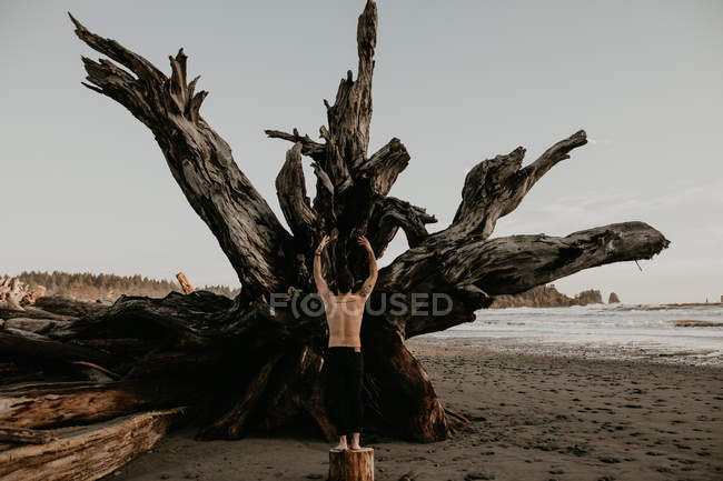 Vue arrière de l'homme posant au tronc sur la côte — Photo de stock