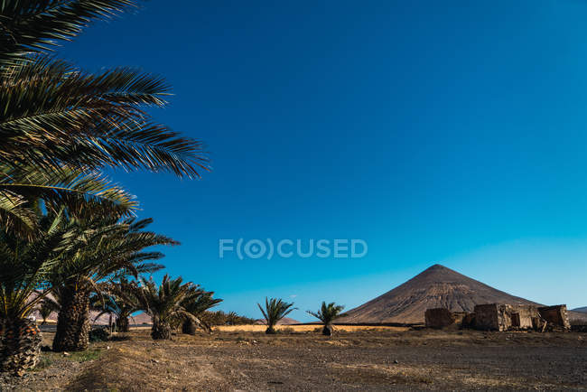 Landscape of tropical desert with ruins of house — Stock Photo