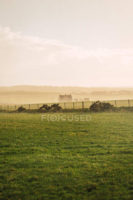 View to green field on farm in countryside on background of misty rural house — Stock Photo