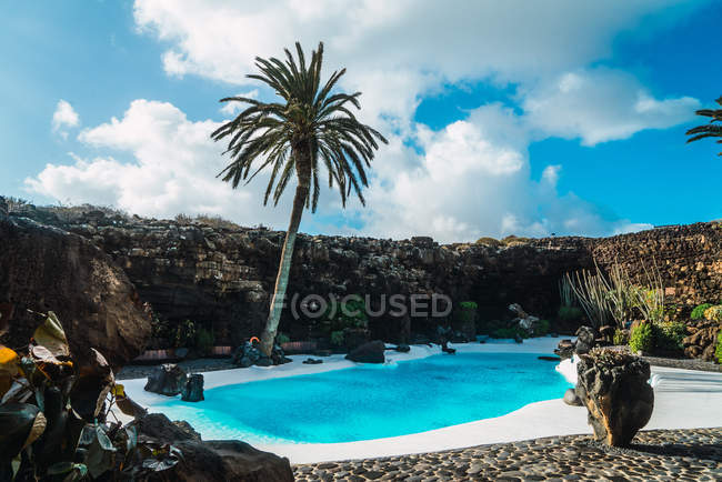 Vista esterna della piscina blu e della palma nella giornata di sole — Foto stock