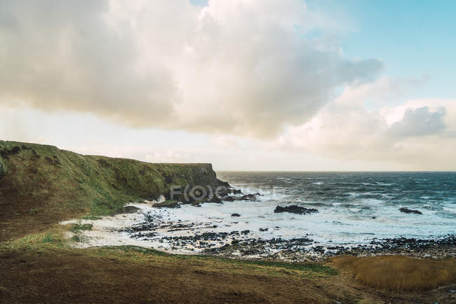 Litoral com rochas e grama verde à beira-mar no dia de verão — Fotografia de Stock