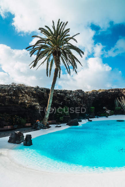 Idyllic view of palm tree by pool in mountains — Stock Photo