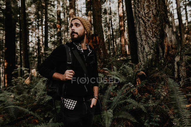 Uomo turistico a piedi nella foresta autunnale e guardando da parte — Foto stock