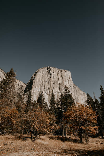 Vue en angle élevé vers la haute roche dans la forêt d'automne en plein jour . — Photo de stock