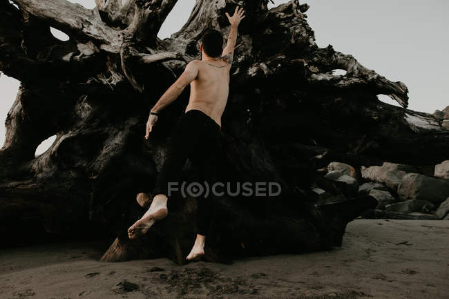 Vista posteriore dell'uomo senza maglietta che salta sulla spiaggia con tronchi d'albero caduti — Foto stock