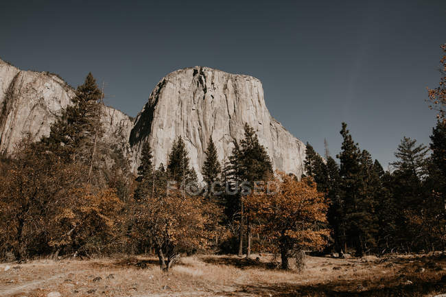 Blick auf den Berg im Herbst Wald — Stockfoto