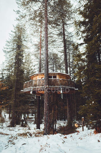 Vista esterna della casa sugli alberi nella foresta invernale — Foto stock