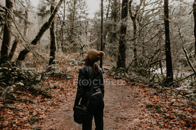 Visão traseira da mulher andando na floresta de outono e olhando para o lado — Fotografia de Stock