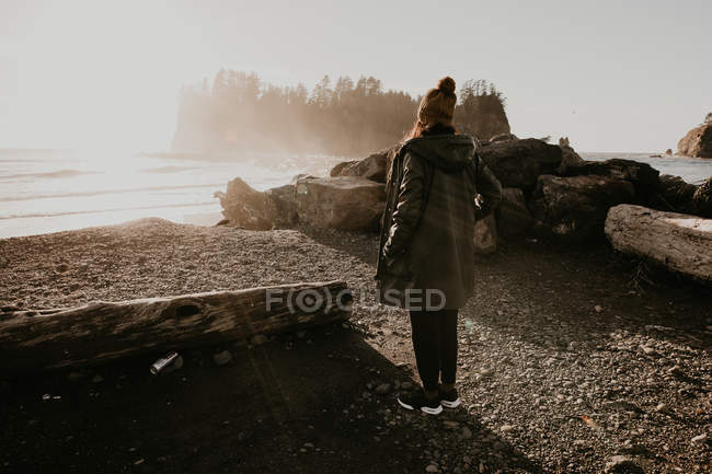 Visão traseira do turista em pé na costa ensolarada fria . — Fotografia de Stock