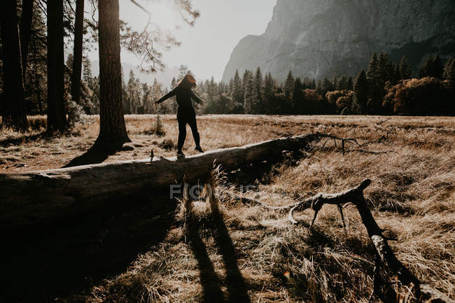 Frauensilhouette balanciert auf Baumstamm auf Waldwiese — Stockfoto