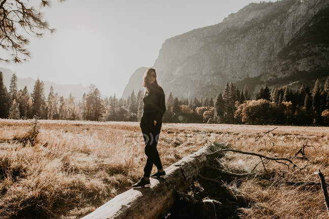 Portrait of girl posing on fallen trunk at mountain meadow — Stock Photo