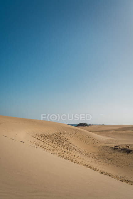Paisaje de interminable costa arenosa bajo sol hirviendo - foto de stock