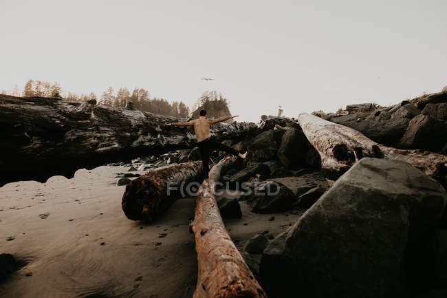 Vue arrière de l'homme torse nu équilibrant sur le tronc tombé sur la plage — Photo de stock