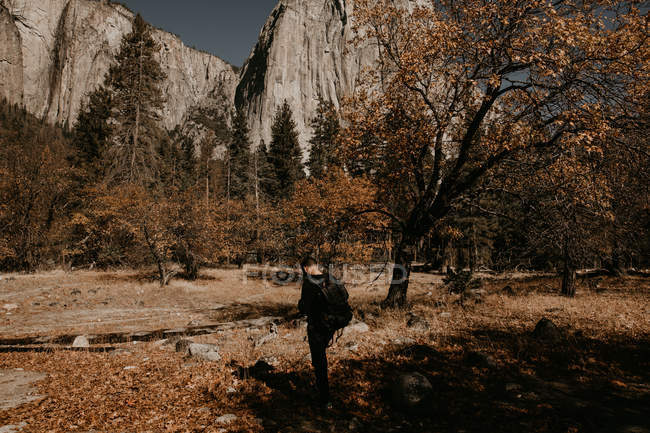 Vista traseira do passeio turístico no prado da montanha no dia de outono — Fotografia de Stock