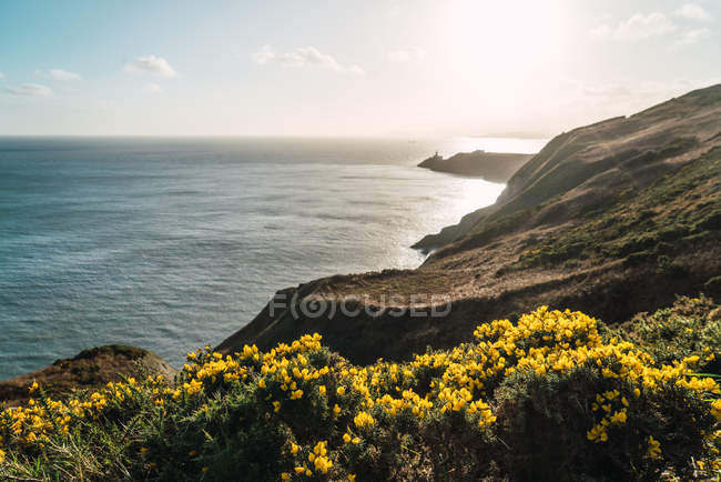 Panorama vista ai fiori sulle colline costiere e sull'oceano — Foto stock