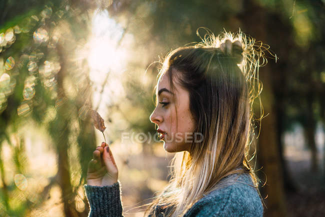 Vue latérale de la jeune fille avec chignon sur la tête explorant les feuilles tombées au soleil de la forêt . — Photo de stock