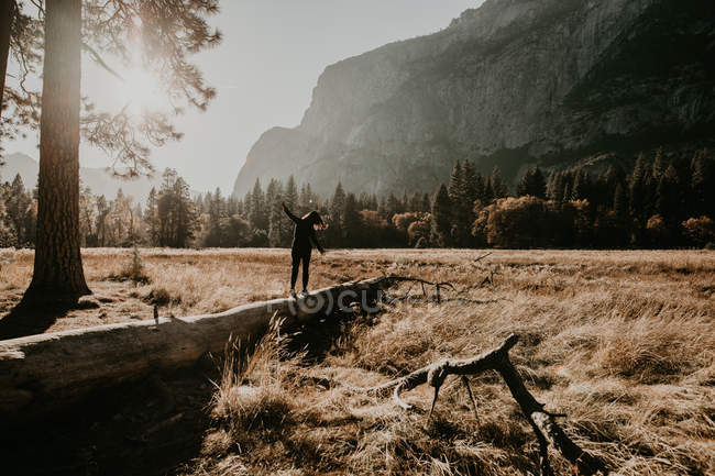 Rear view of person walking and balancing on trunk at woods meadow — Stock Photo